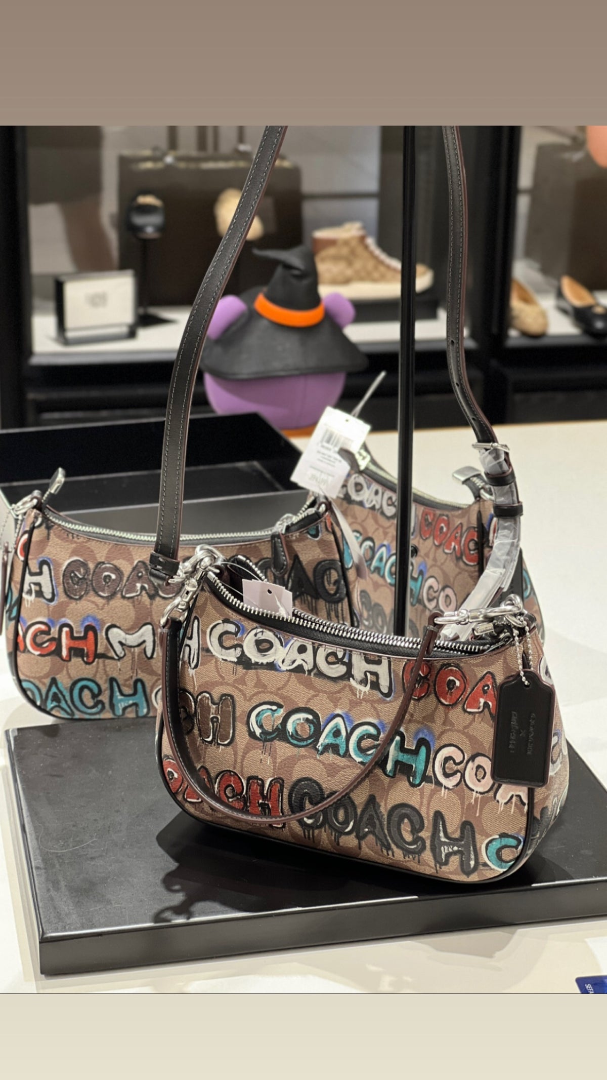 Coach Teri Medium