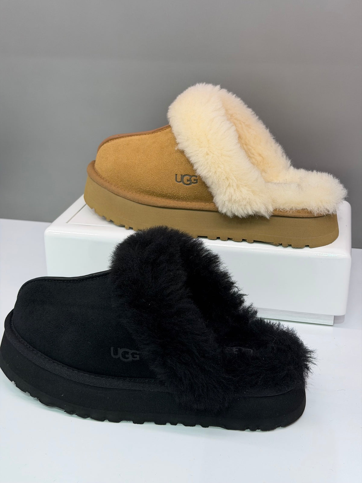 UGG Disquette