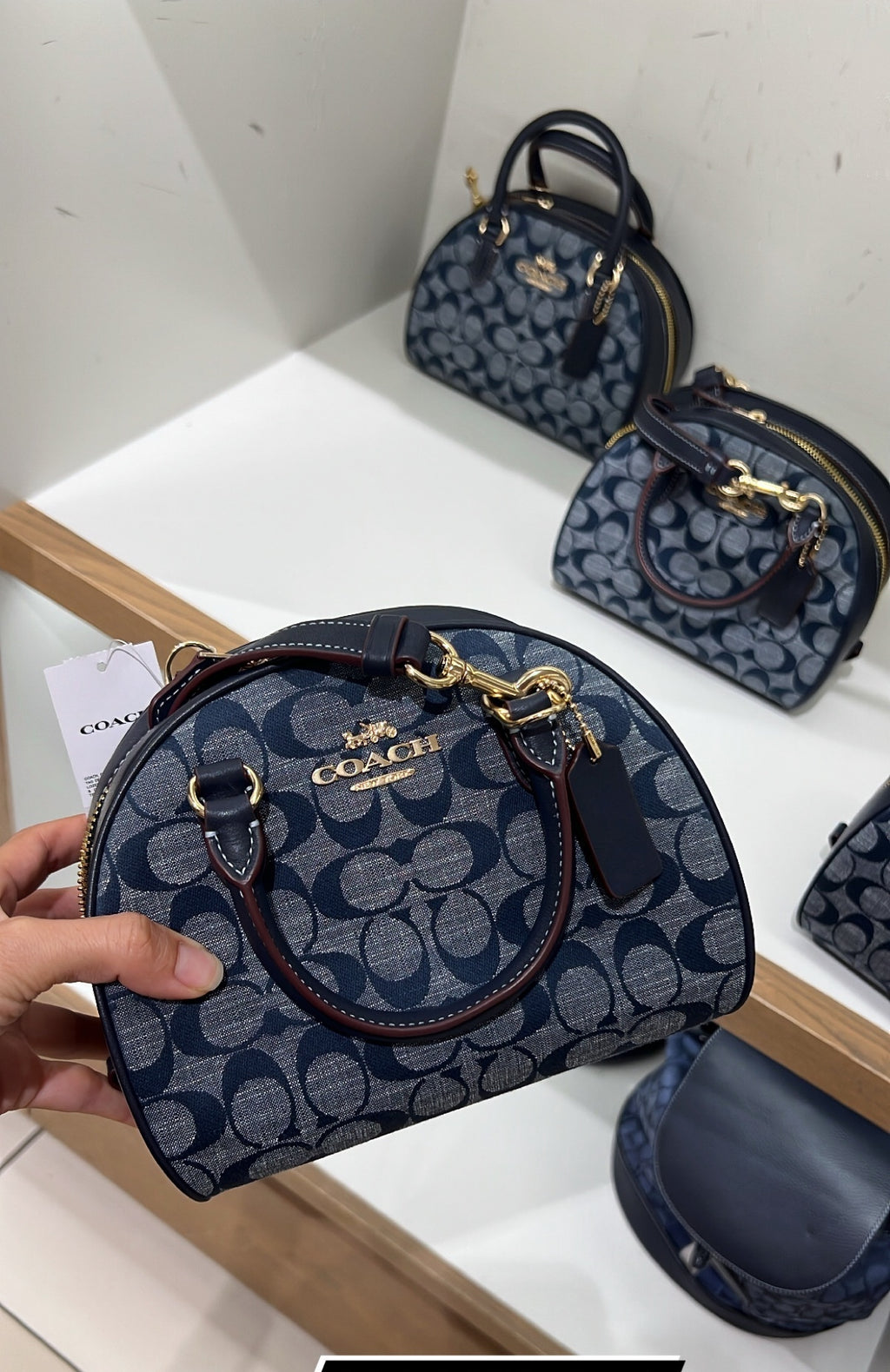 Coach Dome Crossbody