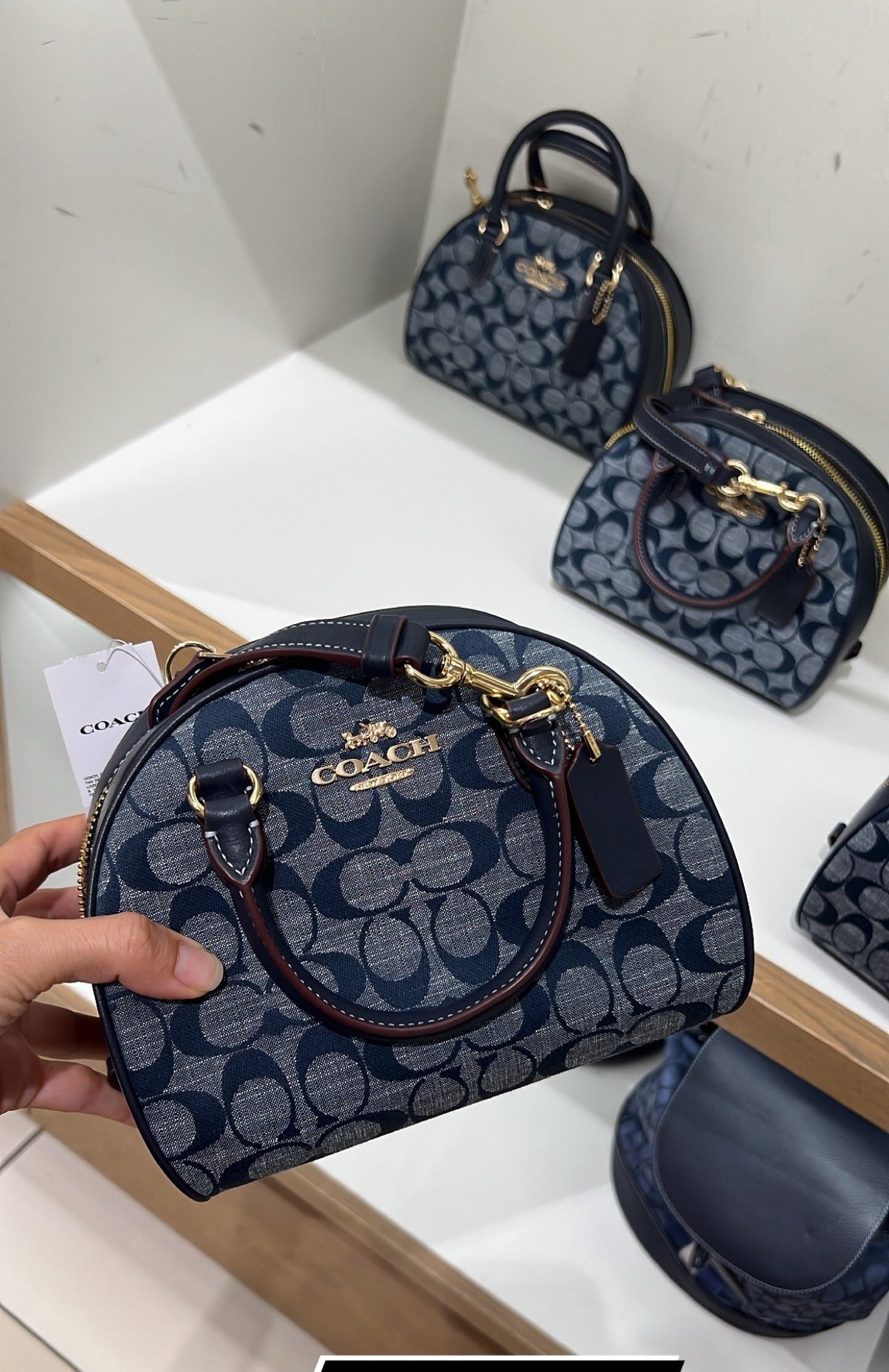 Coach Dome Crossbody
